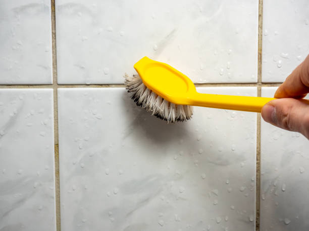 Best Localized Mold Remediation (e.g., coastal areas, humid climates) in Olive Branch, MS