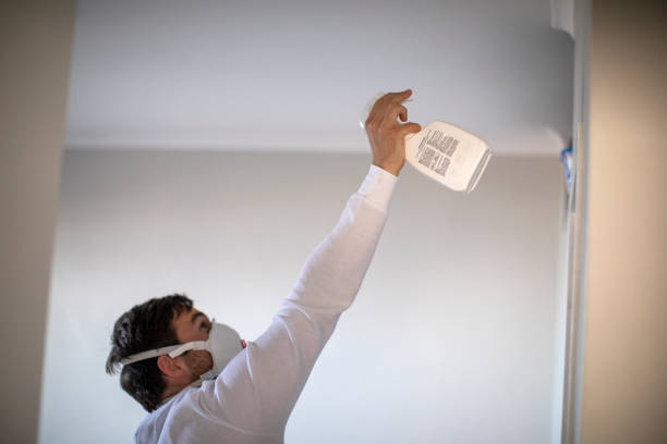 Best Residential Mold Remediation in Olive Branch, MS