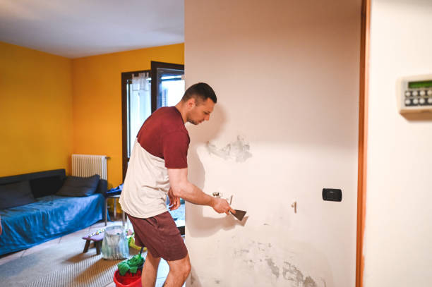Best Insurance-Related Mold Remediation in Olive Branch, MS